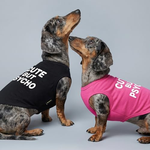 Fitwarm Cute But Psycho Dog Shirt, Summer Clothes for Small Dogs Boy Girl, Funny Pet Outfit, Black, White, XXL