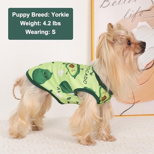 Dog Shirt Vest Dog Clothes for Small Dogs Boy Girl Stretchy Summer Puppy T-Shirts Soft Breathable Lightweight Puppy Sweatshirt Pet Cat Outfit (Avocado, Small)