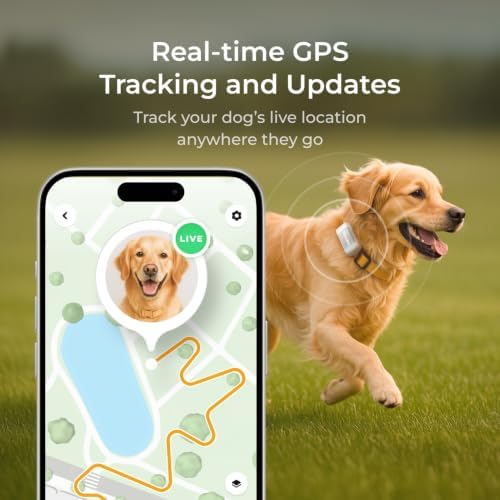 Petcube GPS Tracker for Dogs – Real-Time GPS Tracking & Escape Alerts