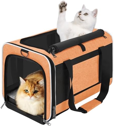 GAPZER Large Cat Carrier Soft, Collapsible Travel Pet Carry Bag, Small Dogs | Large Kitty Cat 20 lbs Maine Coon, Top Load Transport Small Puppy Dog Kennel, Yorkie Little Dog 10lbs, Sturdy Fabric Orange