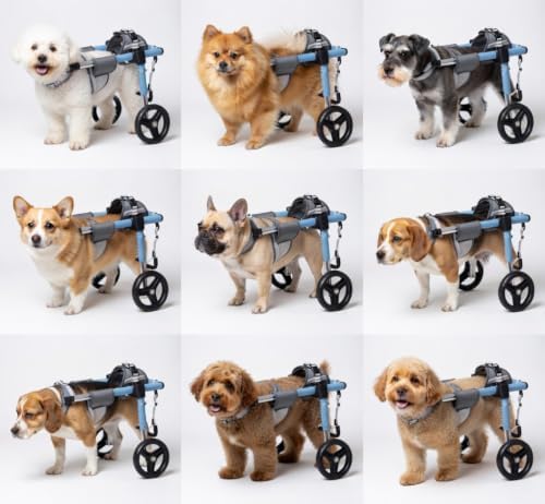 Mobility Aids for Small Pets Hind Limbs Dog Wheelchair Cart Weight Capacity 33-130 Lbs Dog Wheelchair for Hip Dysplasia Support & Paralysis Assistance