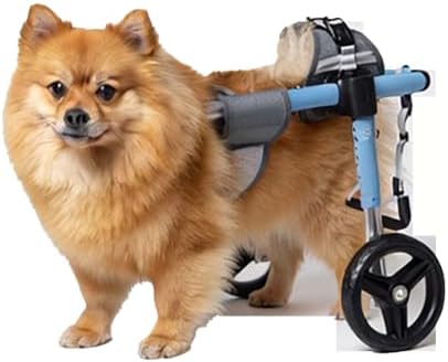 Dog Bicycle Trailers, Pet Trailer Dog Cart Wheelchair for Rear Legs for Daily Walking Aid, Disabled Pet Walks Again, Daily Exercise Lightweight Portable