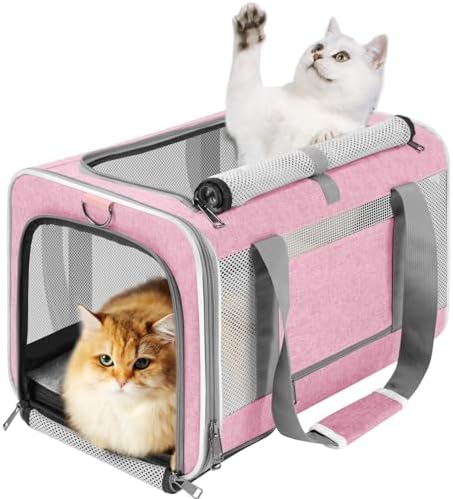 GAPZER Large Cat Carrier Soft, Collapsible Travel Pet Carry Bag, Small Dogs | Big Kitten Cat 20lbs Mainecoon, Top Open Travel Shih-Tzu Pet Kennel, Yorkie Small Dog 10 Pounds, 18x12x12, Durable Cloth Pink