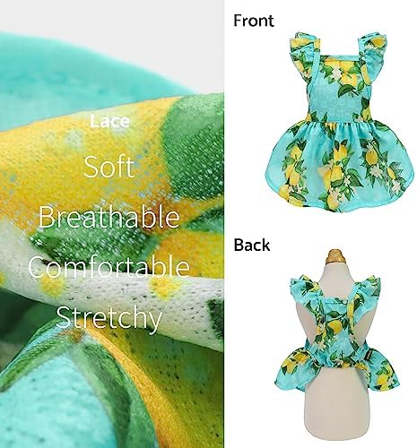 Fitwarm Lemon Dog Dress, Dog Clothes for Small Dogs Girl, Pet Cat Apparel, Teal Blue, Yellow, Green, Small