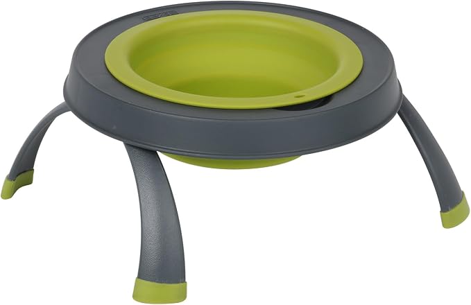 Dexas Pets Elevated Pet Feeder, Large, 4 Cup Capacity, Green, Raised Pet Food and Water Bowl