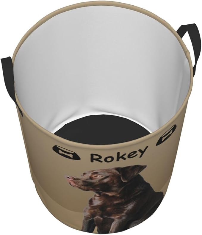 Personalized Large Dog Toy Storage Basket Bin Collapsible Custom Pet Stuff Box Chest Container for Living Room Organizer for Dog Toys,Dog Food,Blankets,Clothing (Latte)