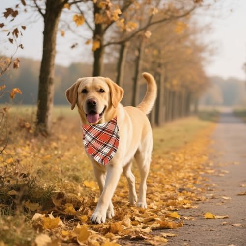 ADOGGYGO Fall Thanksgiving Dog Bandana, Autumn Plaid Dog Scarf, X-Large