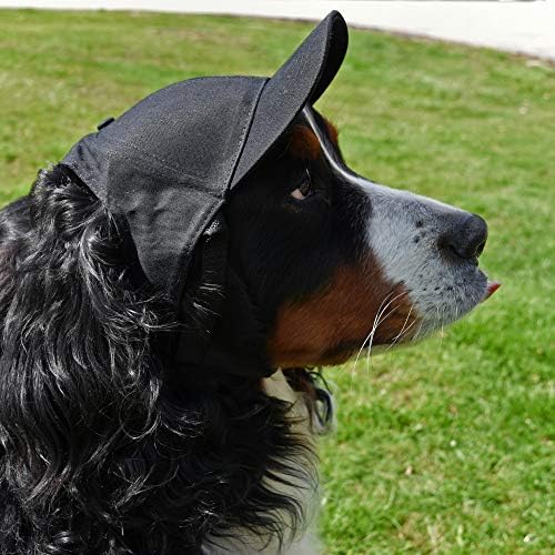 Littlearth Unisex NHL Pet Baseball Hat