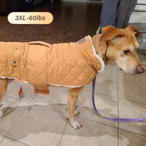 KYEESE Waterproof & Windproof Dog Coat for Large Dogs Puffer Jacket