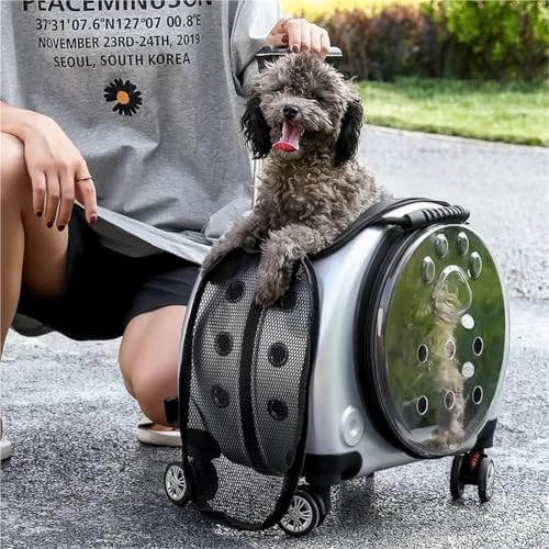 Portable Multifunctional Pet Trolley Case Visible Transport Crate Transparent and Comfortable Basket