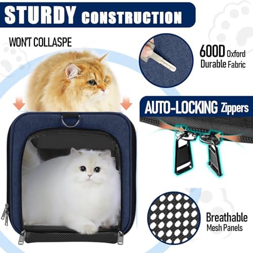 GAPZER Large Cat Carrier Soft, Collapsible Travel Pet Carry Bag, Small Dogs | Large Cats up to 20 lbs+ Maine Coon, Top Load Transport Small Puppy Dog Crate, Chihuahua Mini Dog 10lbs, Sturdy Fabric Navy