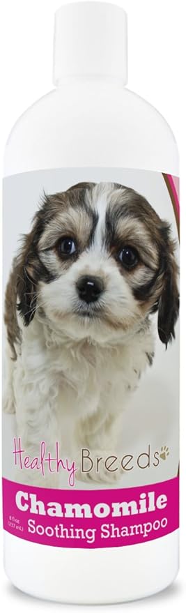 Healthy Breeds Cavachon Chamomile Soothing Dog Shampoo 8 oz