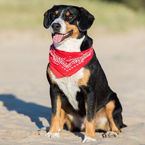 Mechaly 3 Pack Dog Bandana Neck Scarf Paisley Polyester Bandanas - Any Pets