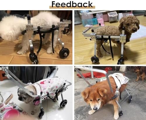 Dog Wheelchair Full Support Disabled Cat Wheelchair with Handle, 4 Wheels Dog Recovery for Front Legs/Back Legs, Comfortable Protect Chest Pet Walker Cart(XS)