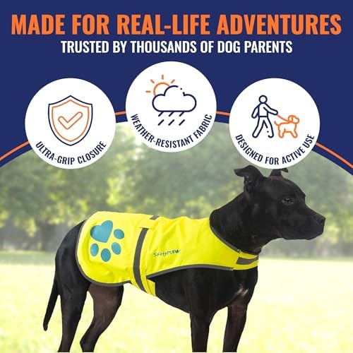 Reflective Dog Vest, Hi Vis Safety Gear for Low-Light Morning & Night Walks
