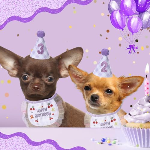 Chicingyou Dog Birthday Outfit Set Lace Bib Number Stickers, Cute, Purple
