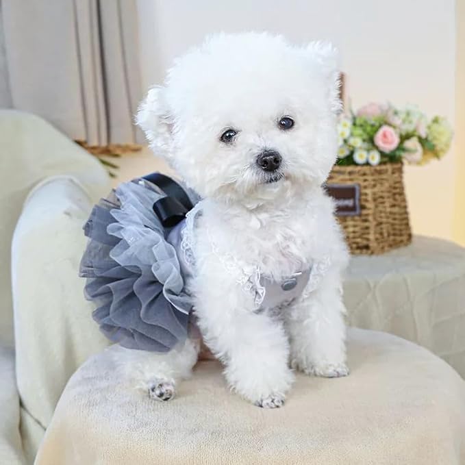 Gray Dog Tutu Dress with Bow Knot Sleeveless Puppy Clothes for Small Dogs Girl Spring Summer Cat Princess Dresses Holiday Pet Sundress Outfit (Grey, X-Large)