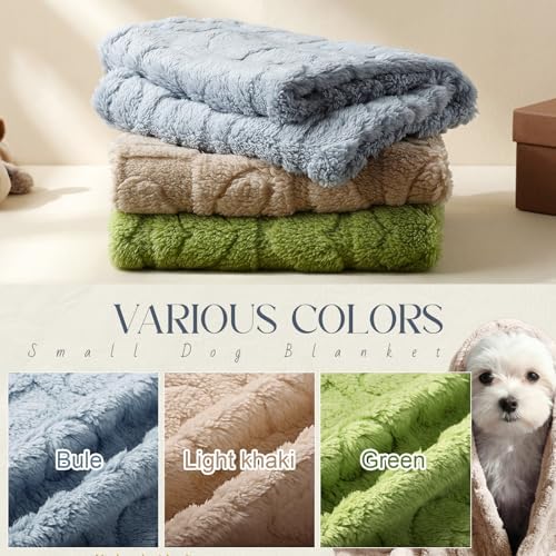 Tegeme 3 Pcs Small Dog Blanket 280 GSM Washable Pet Bed Cover Soft Fluffy Puppy Blanket 3D Textured Heart Checkered Pattern Fleece Soft Cat Plush Pet Throws for Kitten Doggy(Vibrant Colors,20"×30")