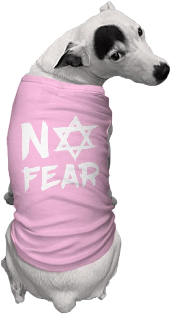 No Fear Star of David - Stand with Israel Dog Shirt (Pink, 3X-Large)