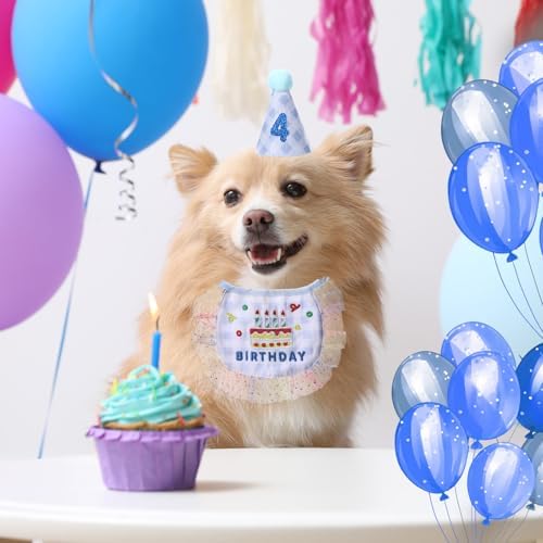 Chicingyou Dog Birthday Outfit Set Lace Bib Number Stickers, Cake, Blue