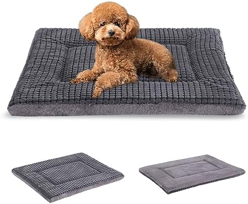 BVAGSS Reversible Dog Crate Pad, Memory Foam Pet Bed Mat, Soft Warm Machine Washable Sleeping Kennel Mattress for Small Medium Dogs XH079 (24''x18''x1.6'',Light Grey)