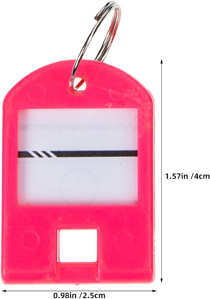 POPETPOP Plastic Key Tags Sturdy Plastic Organizers 100pcs with Split Ring and Personalizable Label, Colored Key Labels and Random Color for USB Drive and Small Luggage for Offices