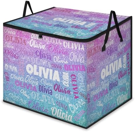 Custom Extra Large Storage Baskets Named with Lid, Personalized Storage Bins Basket Boxes Handles for Clothes Blanket Bedroom Closet Organizing Toys Shelves, Pink Blue Glittery Sequins