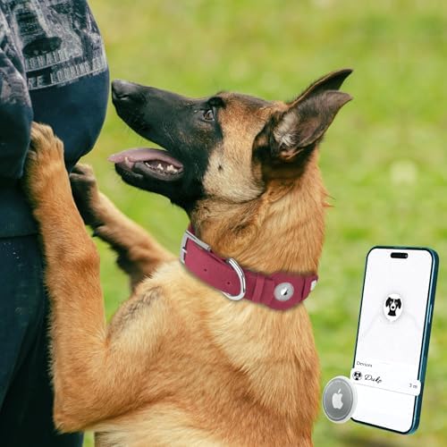 Leather Dog Collar with Airtag Holder - Apple Air Tag Dog Collars - Soft Tracking GPS Pet Collar for Small Medium Large Dogs Breed Puppy (Burgundy, L, 15"-19" Neck Fit)