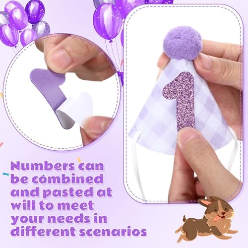 Chicingyou Dog Birthday Outfit Set Lace Bib Number Stickers, Cute, Purple
