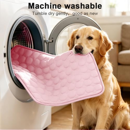 2026 Arc-Chill Upgraded Dog Cooling Mat Q-Max>0.4 Pet Cooling Pad | Non-slip Dog Bed Mats Washable Cooling Mat for Dogs Cats Instant Cool Relief for Indoor Floor Sofa, Outdoor Garden& Car Seats