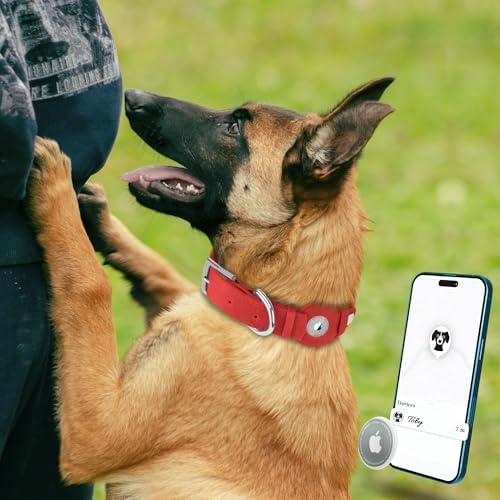 Leather Dog Collar with Airtag Holder - Apple Air Tag Dog Collars - Soft Tracking GPS Pet Collar for Small Medium Large Dogs Breed Puppy (Red, S, 9"-12" Neck Fit)