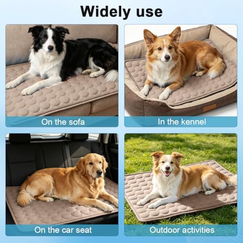 2026 Arc-Chill Upgraded Dog Cooling Mat Q-Max>0.4 Pet Cooling Pad | Non-slip Dog Bed Mats Washable Cooling Mat for Dogs Cats Instant Cool Relief for Indoor Floor Sofa, Outdoor Garden& Car Seats