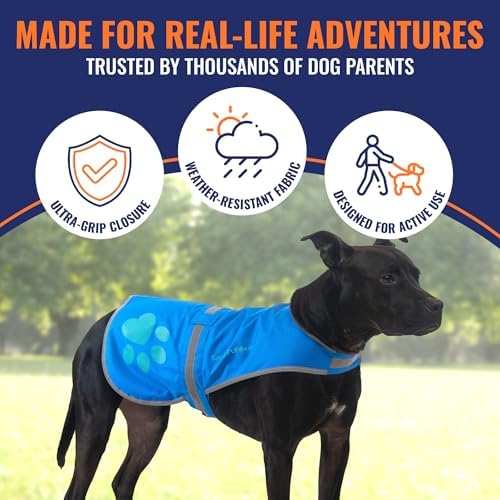 Reflective Dog Vest, Hi Vis Safety Gear for Low-Light Morning & Night Walks