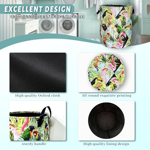 Tropical Birds Laundry Basket Foldable Oxford Cloth Hamper 18.9" x1 6.5"