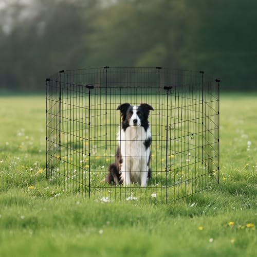Amazon Basics Foldable Octagonal Metal Exercise Dog Playpen, Indoor/Outdoor, No Door, 8 Connected Panels, Large, 42 Inches Height, Black