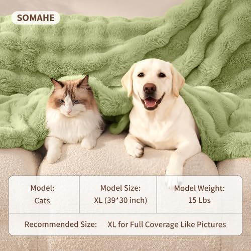 SOMAHE Dog Blanket for Couch Bed, Soft Faux Fur, Large 39x31 Fruit Green