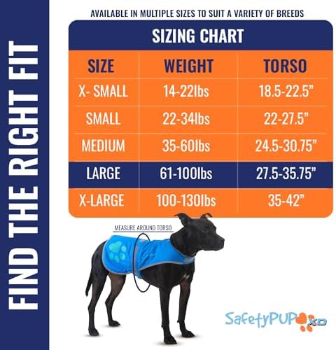 Reflective Dog Vest, Hi Vis Safety Gear for Low-Light Morning & Night Walks