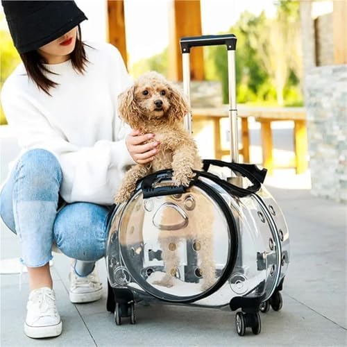 Portable Multifunctional Pet Trolley Case Visible Transport Crate Transparent and Comfortable Basket