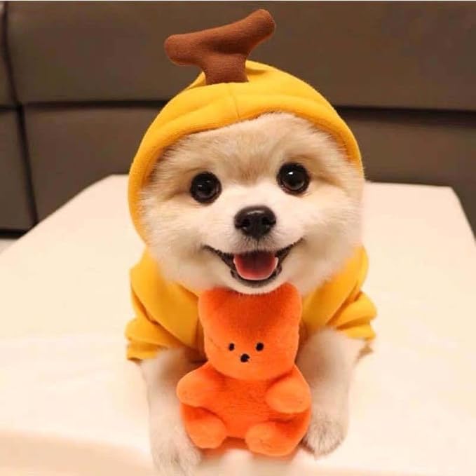 Pet Clothing Dog Transformation Shaped Hoodie (Yellow Banana,XS) | Autumn and Winter Warm Small Large Dog Method Dou Cat Clothes For French Bulldog Chihuahua Pug Boston Terrier Dachshund