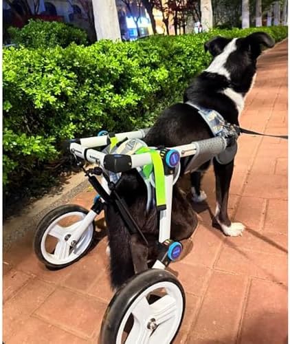 Dog Wheels for Back Legs Dog Cart for Paralyzed Dogs Adjustable Pet Wheelchair 3XS–M Easy to Assemble, Shock-Absorbing Tires for Arthritis Relief Outdoor Walking