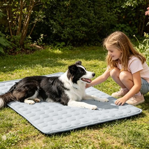 2026 Arc-Chill Upgraded Dog Cooling Mat Q-Max>0.4 Pet Cooling Pad | Non-slip Dog Bed Mats Washable Cooling Mat for Dogs Cats Instant Cool Relief for Indoor Floor Sofa, Outdoor Garden& Car Seats