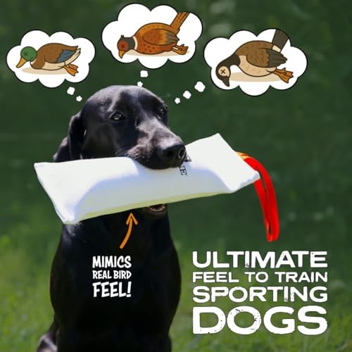 DogBone Firehose Dog Bumper for Hunting & Sporting Dog Training - Perfect Floating Dummy for Water Retrieving & Fetch - Ideal Canvas Alternative for Puppies or Adult Retrievers & Includes Throw Loop