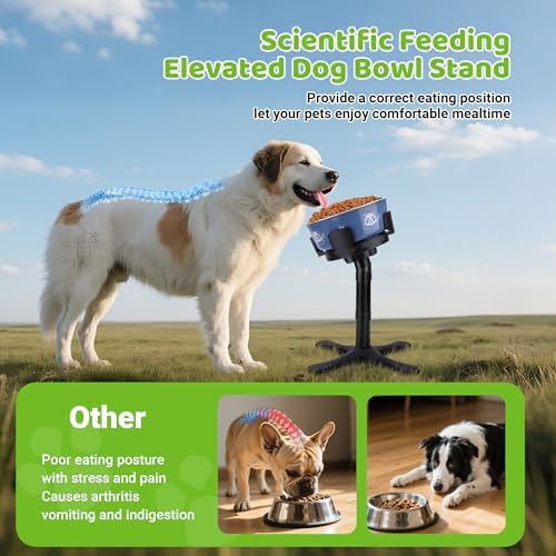 Dog Bowls Elevated Adjustable Stand, Raised Bowl with 3 Heights & Tilted Feeding Stand, Compatible with Various Bowls, for Medium & Large Breeds (with Bowl) Black