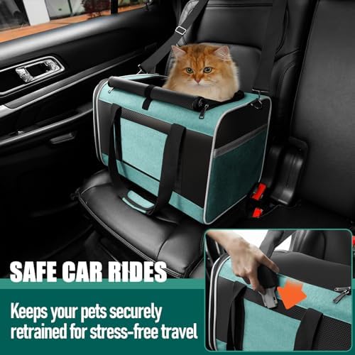 GAPZER Large Cat Carrier Soft, Collapsible Travel Pet Carry Bag, Small Dogs | Big Kitten Cat 20lbs Mainecoon, Top Open Travel Shih-Tzu Pet Kennel, Yorkie Small Dog 10 Pounds, 18x12x12, Durable Cloth Teal