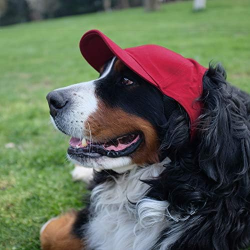 Littlearth Unisex NHL Pet Baseball Hat
