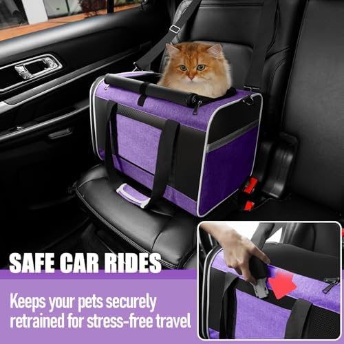 GAPZER Large Cat Carrier Soft, Collapsible Travel Pet Carry Bag, Small Dogs | Large Cats up to 20 lbs+ Maine Coon, Top Load Transport Small Puppy Dog Crate, Chihuahua Mini Dog 10lbs, Sturdy Fabric Pueple