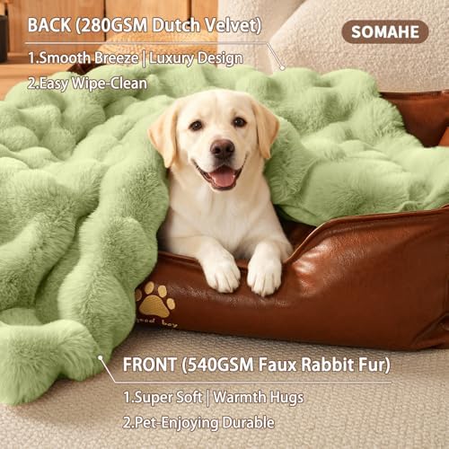 SOMAHE Dog Blanket for Couch Bed, Soft Faux Fur, Large 39x31 Fruit Green
