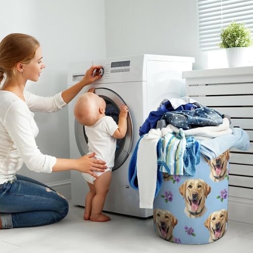 Collapsible Clothes Basket with Handles Floral Yellow Labrador Dog Pet Painting, Large Waterproof Laundry Hamper for Toy, Towel, and Home Organization