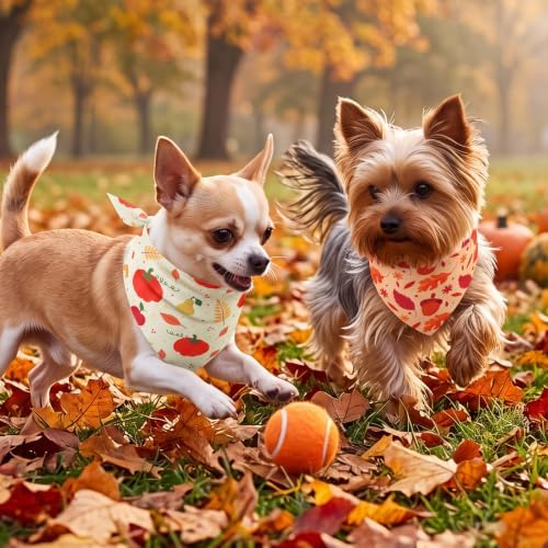 Abbylike 50 Pcs Fall Dog Bandanas Bulk Autumn Pumpkin Bandanas for Dogs Triangle Kerchief Bibs Scarf for Pets Thanksgiving Party Costume Photo Props Accessories, 25 Styles (19.7 x 13.8 x 13.8)