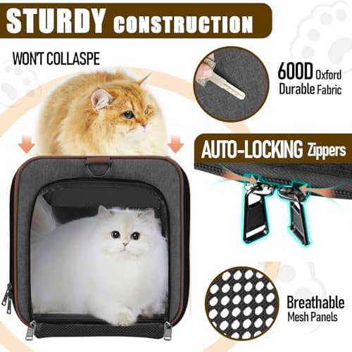 GAPZER Large Cat Carrier Soft, Collapsible Travel Pet Carry Bag, Small Dogs | Large Kitty Cat 20 lbs Maine Coon, Top Load Transport Small Puppy Dog Kennel, Yorkie Little Dog 10lbs, Ventilation Brown